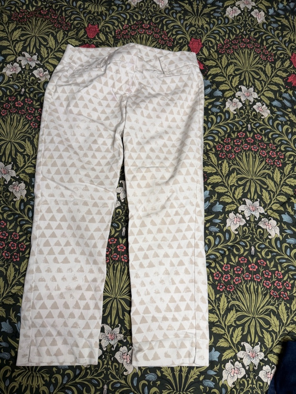 LOFT Printed Riviera Pants in Marisa Fif